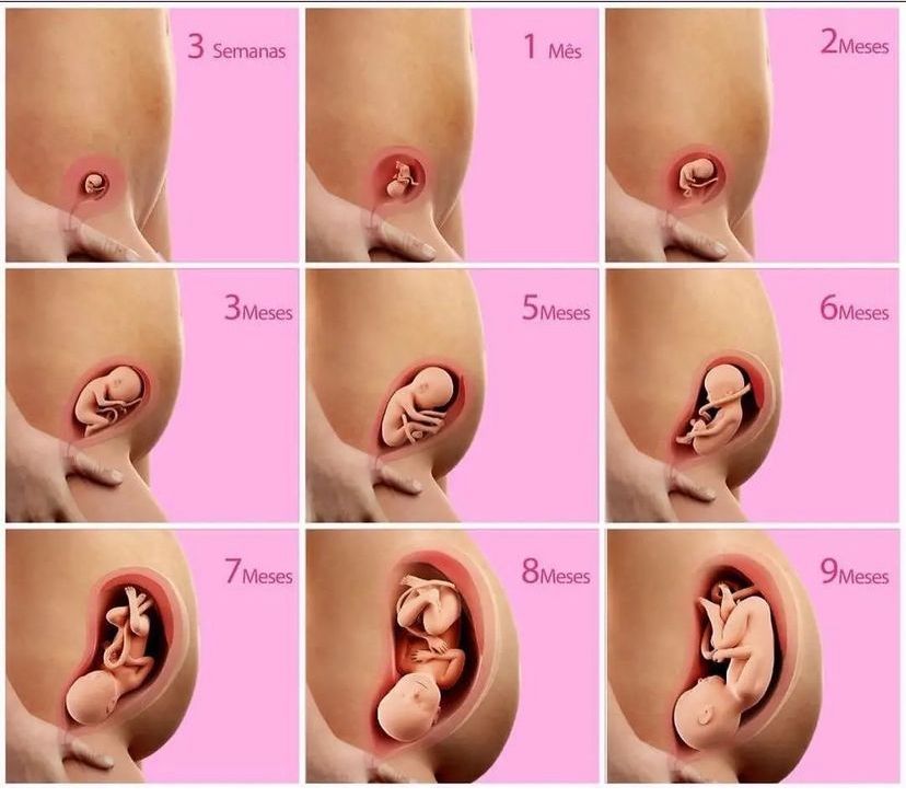 E9e21ba141030ebef0188b560023d885