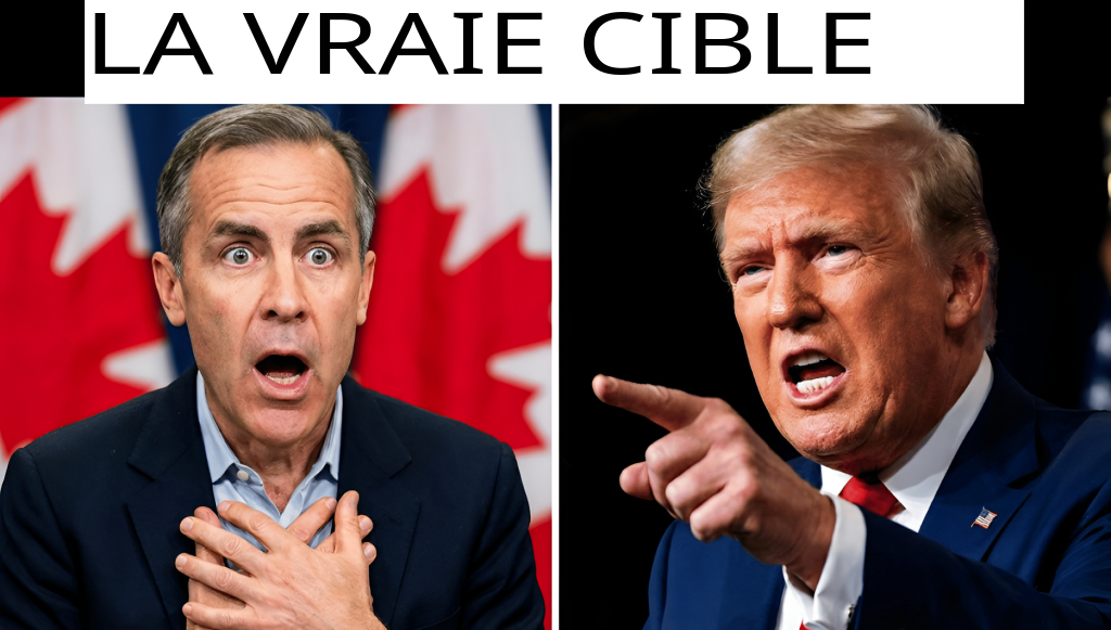 Bac81f7e3c586ad5d28fa57d332dae80